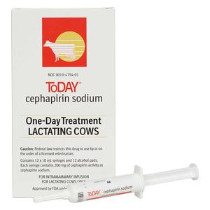 Today (Cephaperin Sodium) One-Day Treatment Lactating Cows 12 ct - Item # 1464RX