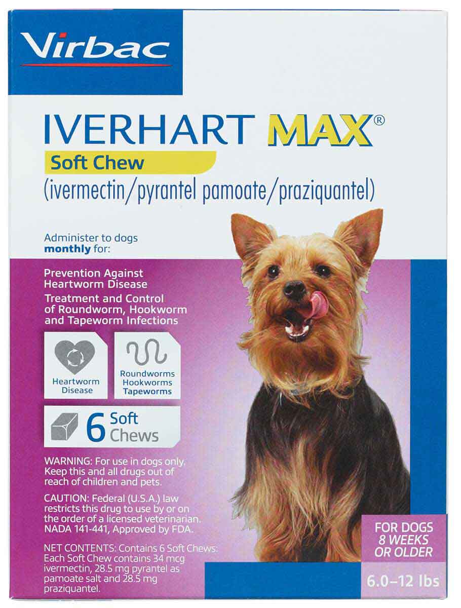 Iverhart Max For Dogs Virbac Safe Pharmacy Heartworm Prevention Dog iverhart-max-for-dogs-virbac-safe-pharmacy-heartworm-prevention-dog