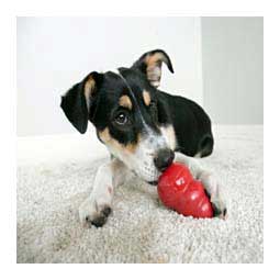 Kong Classic Dog Toy L (30 to 65 lbs) - Item # 15047