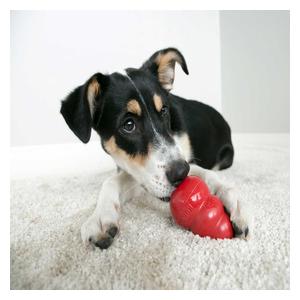 Kong Classic Dog Toy L (30 to 65 lbs) - Item # 15047