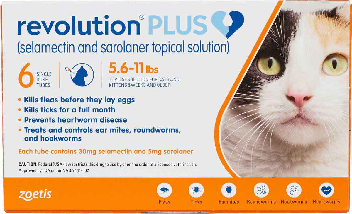 revolution-plus-cat-promo-code-cat-meme-stock-pictures-and-photos