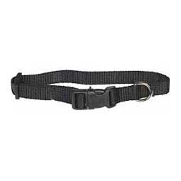 Scott's Adjustable Dog Collar Black 5/8 x 8-12 in - Item # 15109