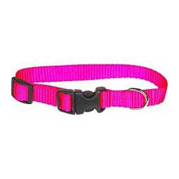 Scott's Adjustable Dog Collar Hot Pink 5/8 x 8-12 in - Item # 15109
