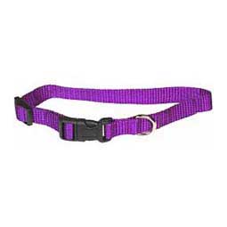 Scott's Adjustable Dog Collar Purple 5/8 x 8-12 in - Item # 15109