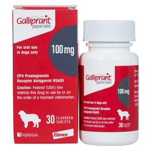 Galliprant for Dogs 100 mg 30 ct - Item # 1515RX