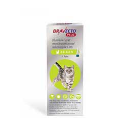 Bravecto Plus Topical Solution for Cats 2.6-6.2 lbs 1 ct - Item # 1529RX