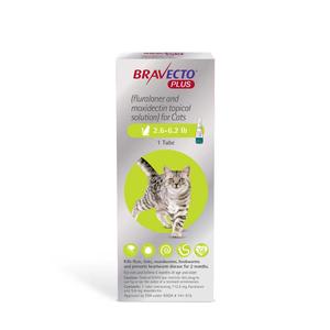 Bravecto Plus Topical Solution for Cats 2.6-6.2 lbs 1 ct - Item # 1529RX