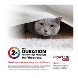 Bravecto Plus Topical Solution for Cats 2.6-6.2 lbs 1 ct - Item # 1529RX