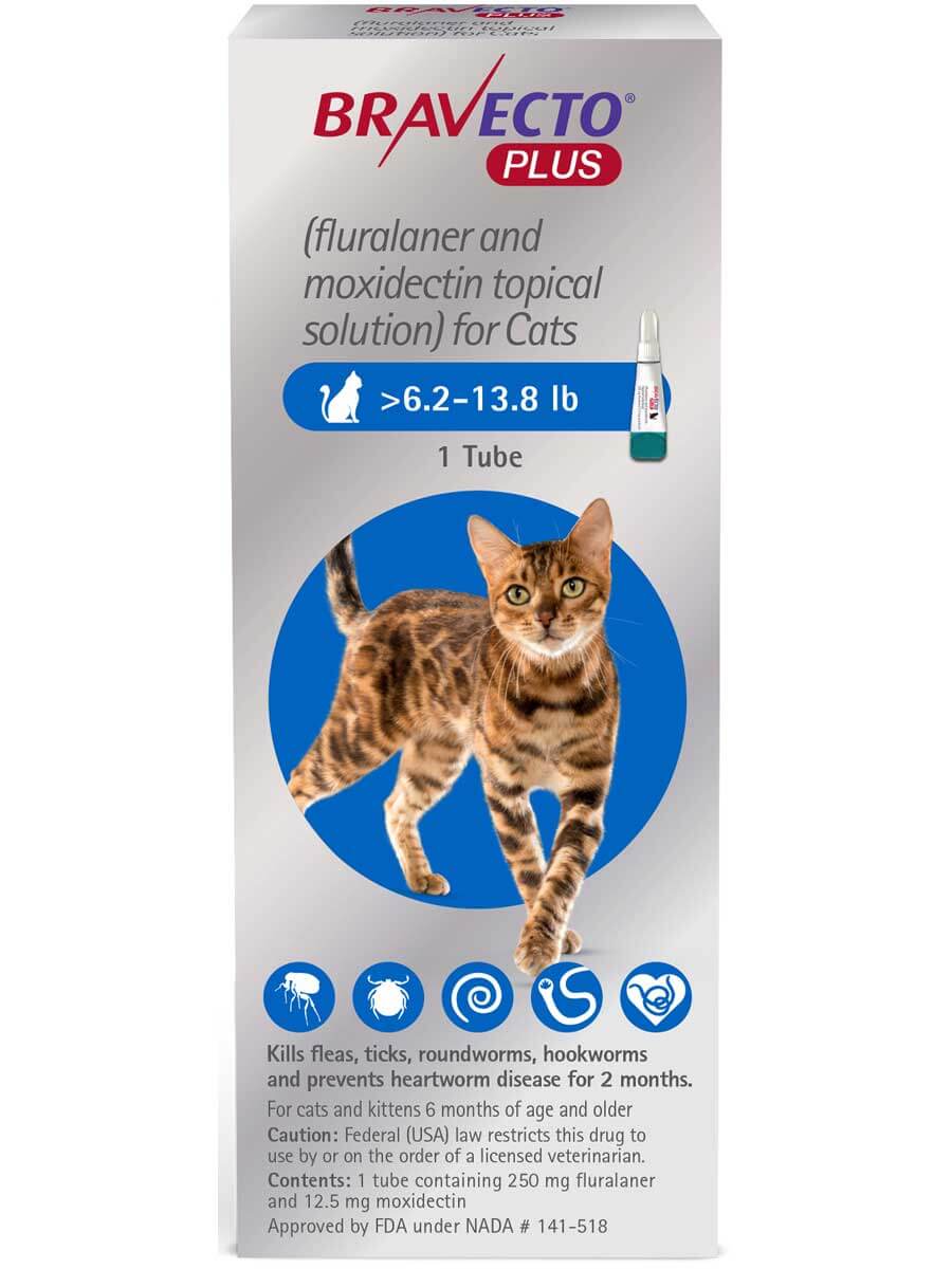 Bravecto Plus for Cats Merck Safe.PharmacyCat (Rx) Pet Pharmacy