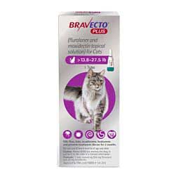 Bravecto Plus Topical Solution for Cats 13.8-27.5 lbs 1 ct - Item # 1531RX