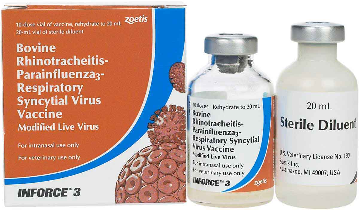 Inforce 3 Cattle Vaccine Zoetis Animal Health Modified Live inforce-3-cattle-vaccine-zoetis-animal-health-modified-live