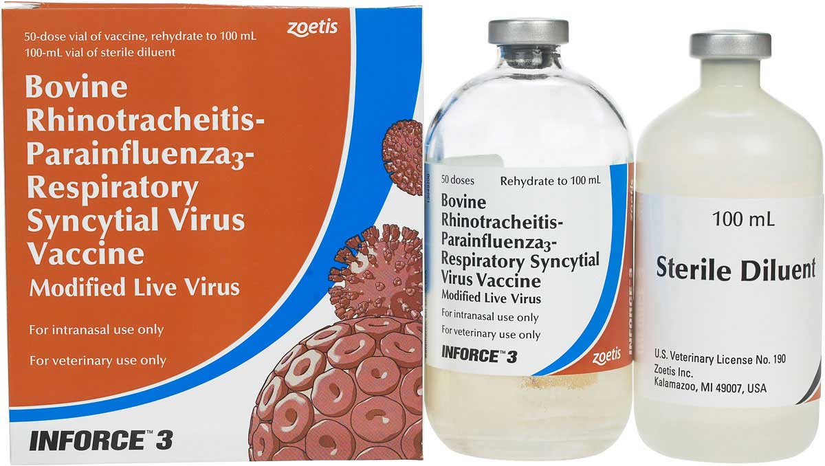 Inforce 3 Cattle Vaccine Zoetis Animal Health Modified Live