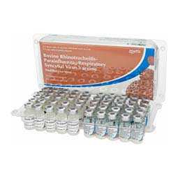 Inforce 3 Cattle Vaccine 25 x 1 dose + cannulas - Item # 15397