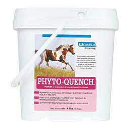 Phyto-Quench Antioxidant for Horses 4 lb (48 days) - Item # 15557