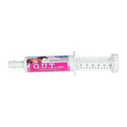 G.U.T. Paste Digestive and GI Support for Horses 60 ml - Item # 15573