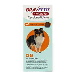 Bravecto 1-Month Chews for Dogs and Puppies 9.9-22 lbs 1 ct - Item # 1562RX