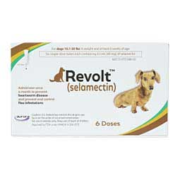 Revolt Selamectin for Dogs 10.1-20 lbs 6 ct - Item # 1579RX