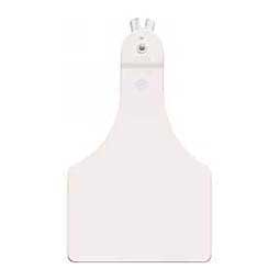 Allflex A-Tag Blank Calf ID Ear Tags White 25 ct - Item # 15898