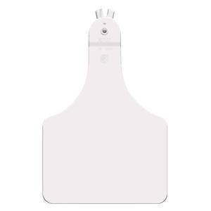 Allflex A-Tag Blank Cow ID Ear Tags White 25 ct - Item # 15899
