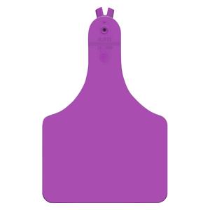 Allflex A-Tag Blank Cow ID Ear Tags Purple 25 ct - Item # 15899