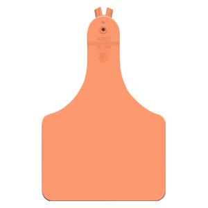 Allflex A-Tag Blank Cow ID Ear Tags Orange 25 ct - Item # 15899
