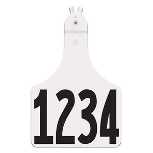 Allflex A-Tag Numbered Cow ID Ear Tags White - Item # 15901