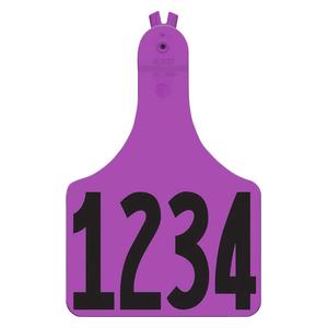 Allflex A-Tag Numbered Cow ID Ear Tags Purple - Item # 15901