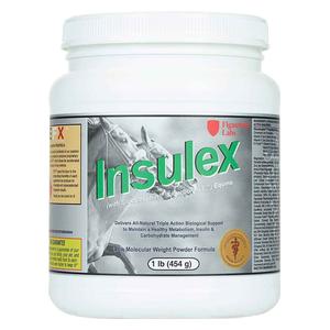 Insulex 100% Glucotrophin for Horses 1 lb (15-60 days) - Item # 15967