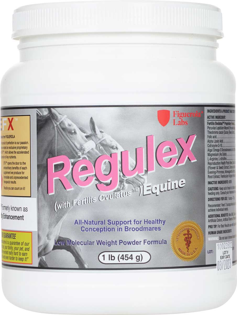Valley Vet - Regulex Equine for Broodmares Figuerola Labs - Multi ...
