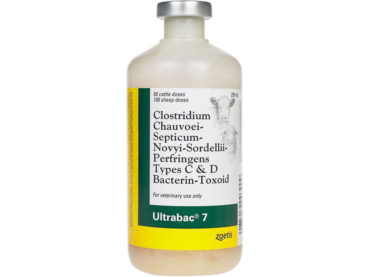 Ultrabac 7 Cattle Sheep Vaccine Zoetis Animal Health Vaccines Goat ultrabac-7-cattle-sheep-vaccine-zoetis-animal-health-vaccines-goat