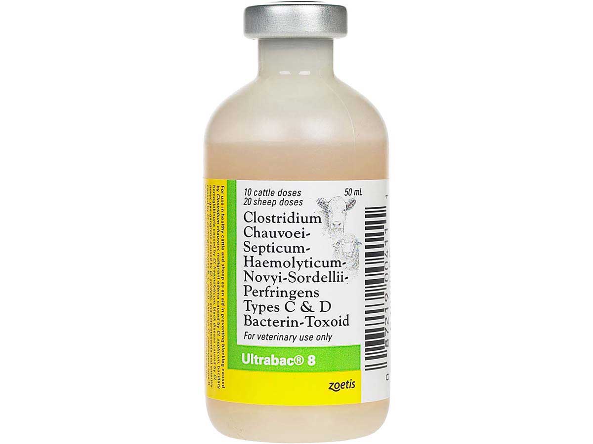 Ultrabac 8 Cattle Sheep Vaccine Zoetis Animal Health Vaccines Goat ultrabac-8-cattle-sheep-vaccine-zoetis-animal-health-vaccines-goat