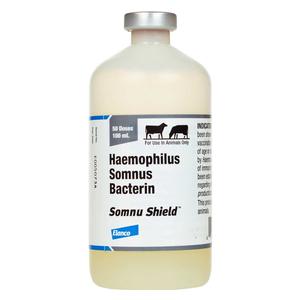 Somnu Shield Cattle Vaccine 50 dose - Item # 16063