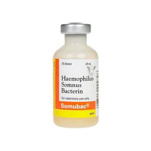 Somubac Cattle Vaccine 10 dose - Item # 16075