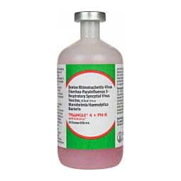 Triangle 4 + PH-K Cattle Vaccine 50 dose - Item # 16136