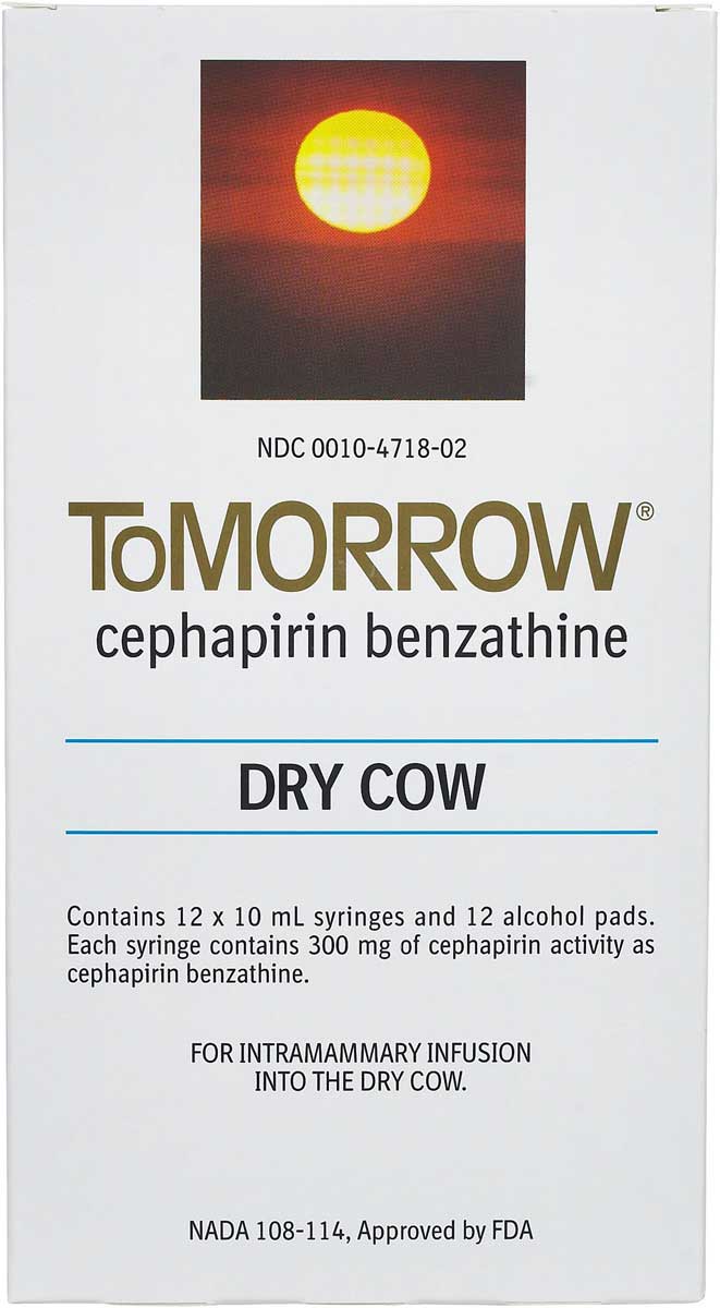 Tomorrow (Cephapirin Benzathine) Dry Cow Mastitis Treatment Boehringer  Ingelheim Equipment Goat