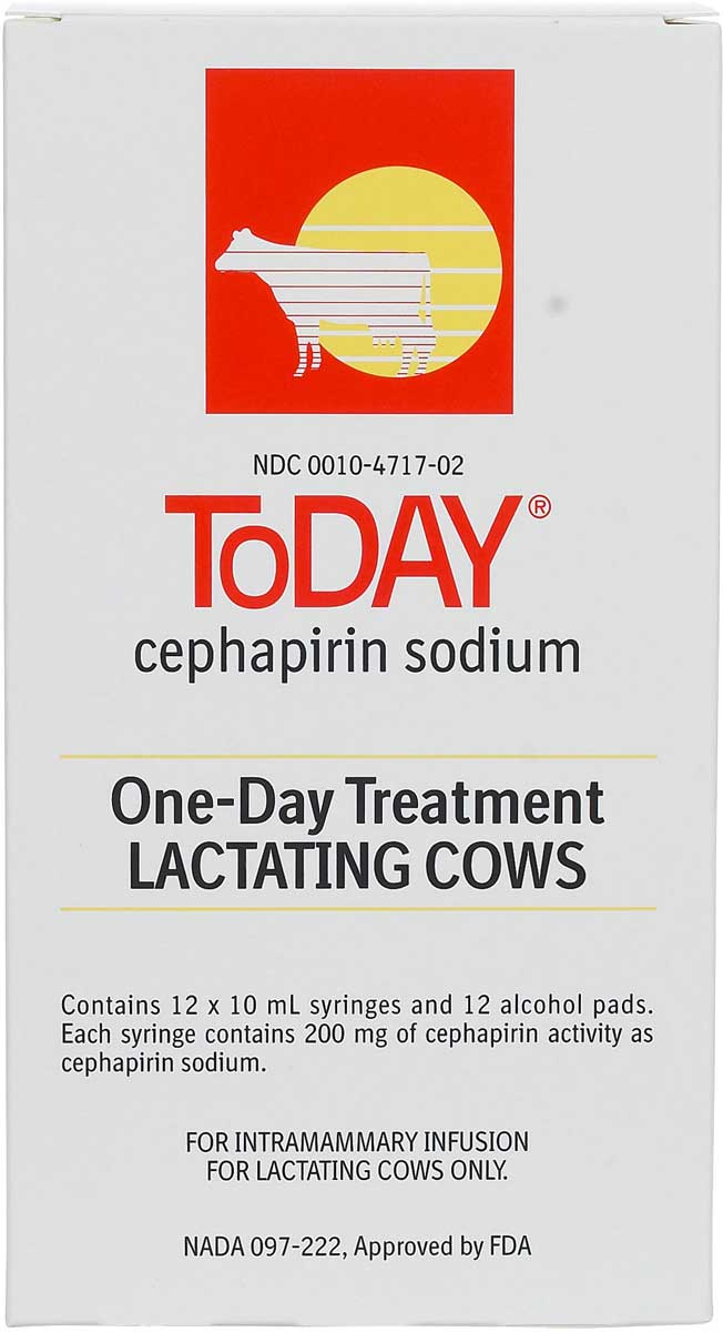 Mastitis Treatment for Lactating Cows & Goats Cephapirin Sodium Details about   ToDAY