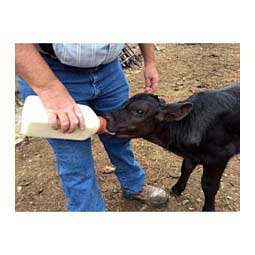 Calf 2 Quart Nursing Bottle Bottle w/Snap-on Nipple - Item # 16421