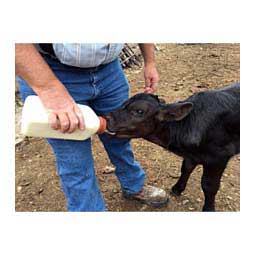 2 Quart Calf Nursing Bottle Bottle w/Snap-on Nipple - Item # 16421