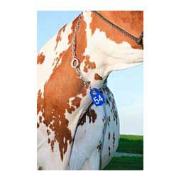 Nylon Tags Blue - Item # 16444