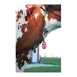 Nylon Tags Red - Item # 16444