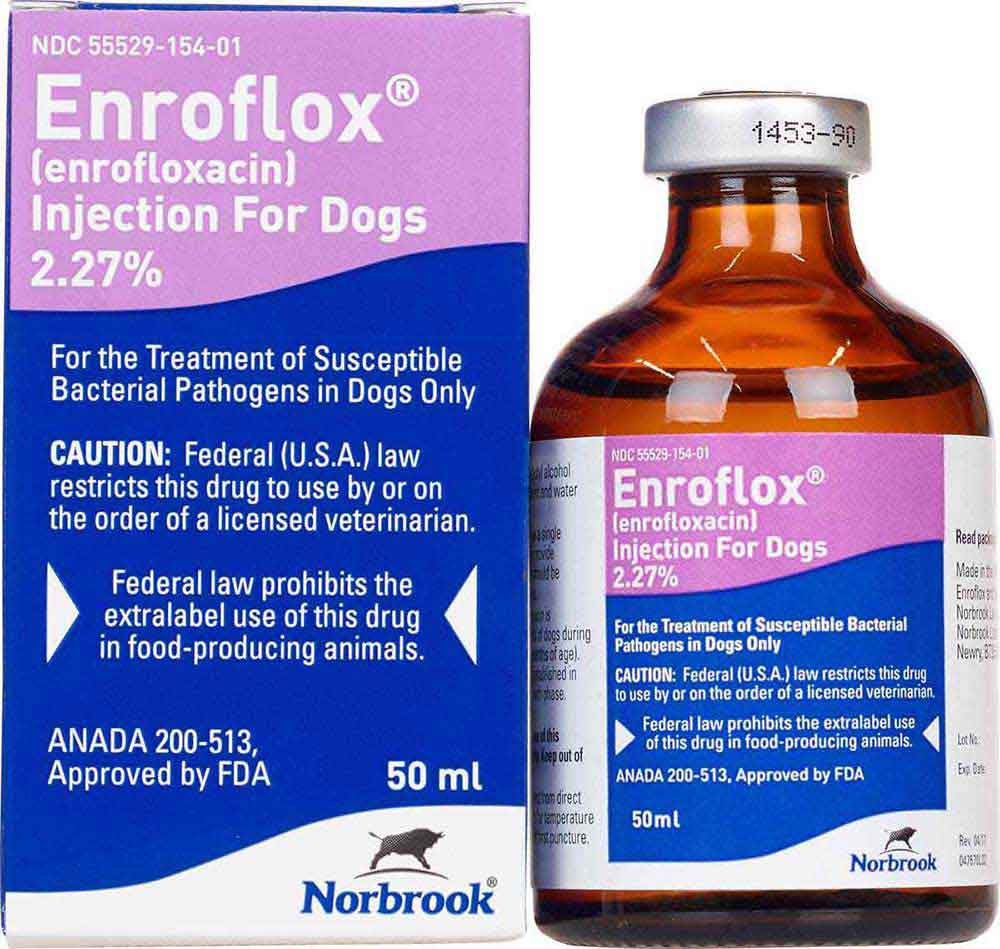 Dog sales antibiotic injection