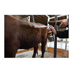 Pro Pink Luster's Light Oil Finishing Spray for Livestock 14 oz - Item # 16553
