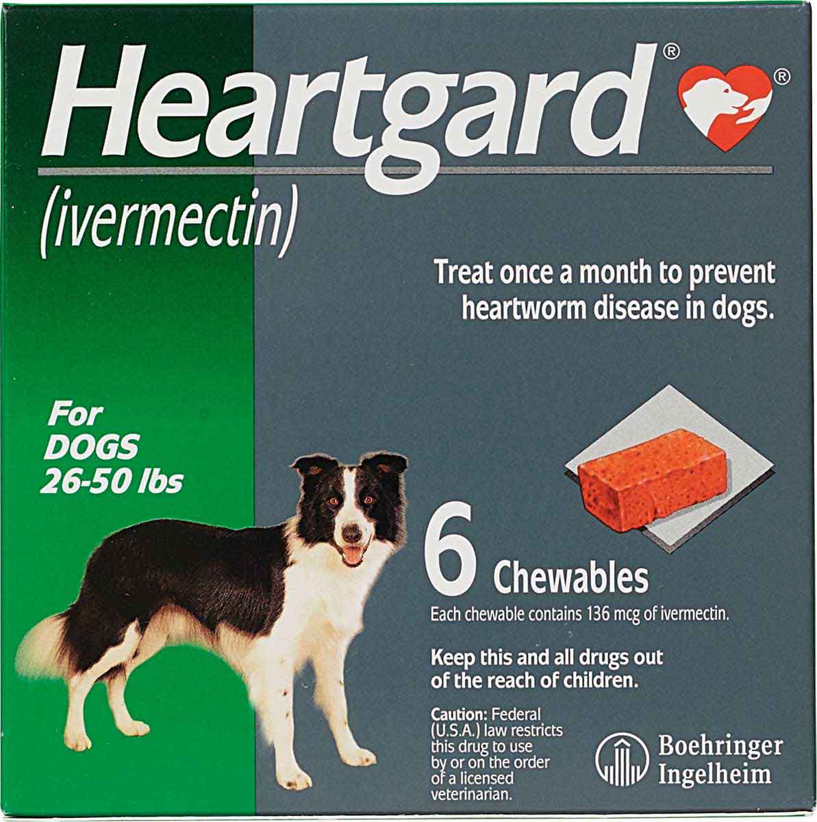 when should i give my puppy heartgard