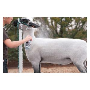 Sheep & Goat Conditioning Spray 12.5 oz - Item # 16601