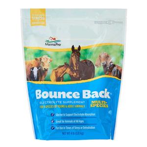 Bounce Back Multi-Species Electrolyte Supplement 4 lb - Item # 16688