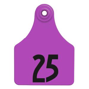 Allflex Global Numbered Large Calf ID Ear Tags Purple - Item # 16832