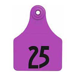 Global Numbered Large (Calf) ID Ear Tags Purple - Item # 16832