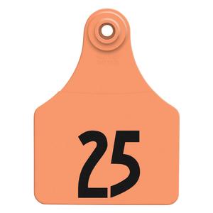 Allflex Global Numbered Large Calf ID Ear Tags Orange - Item # 16832