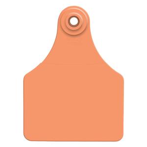 Allflex Global Blank Large Calf ID Ear Tags Orange - Item # 16836