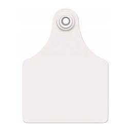 Allflex Global Blank Maxi Cattle ID Ear Tags White - Item # 16837